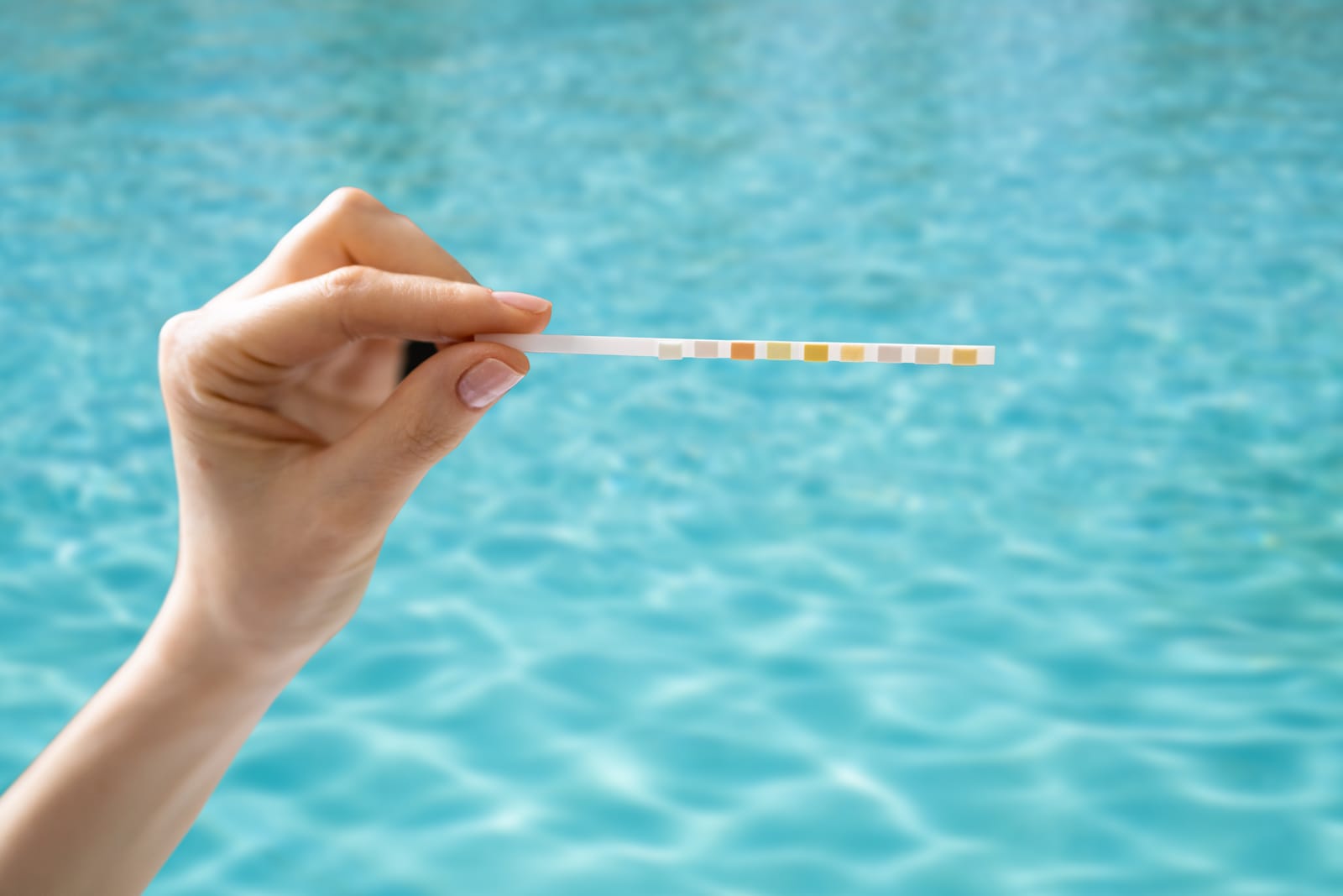 Clean Pool Water